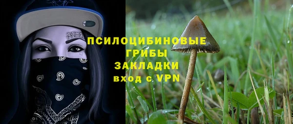 PSILOCYBIN Алексеевка