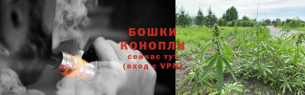 PSILOCYBIN Алексин