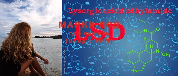 PSILOCYBIN Алексеевка