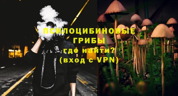 PSILOCYBIN Алексин