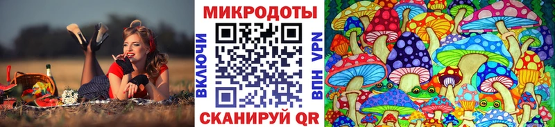 Псилоцибиновые грибы мицелий  mega   Куртамыш 
